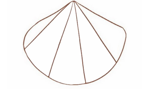 涂色的贝壳简笔画教程