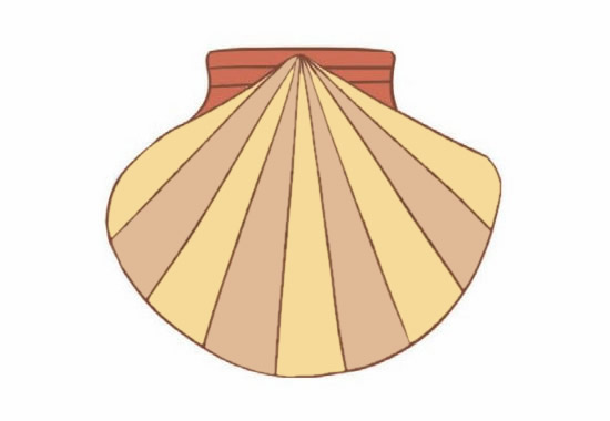 涂色的贝壳简笔画教程