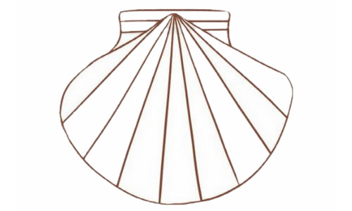 涂色的贝壳简笔画教程