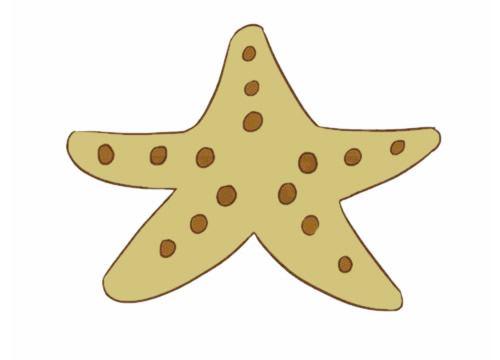 简单好看的海星简笔画(海星简笔画 画法 可爱)