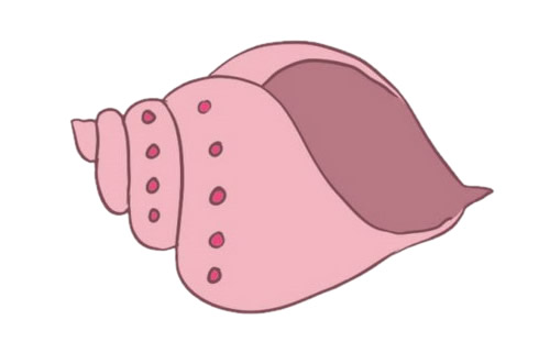 海螺怎么画简单又漂亮(海螺怎么画简单又好看图片)