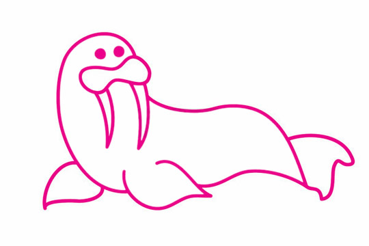 一步步教你画柔软的海狮