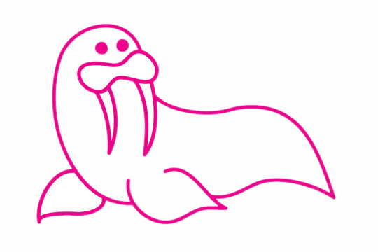 一步步教你画柔软的海狮