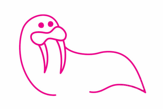 一步步教你画柔软的海狮