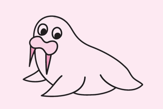 一组关于海狮的简笔画