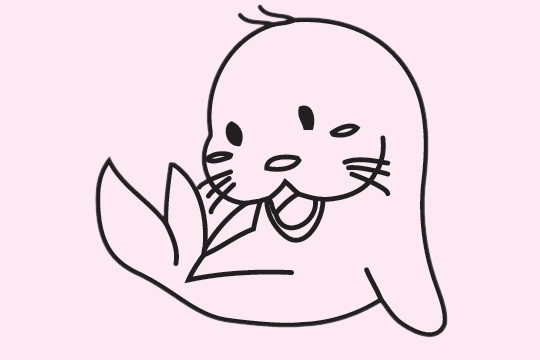 一组关于海狮的简笔画