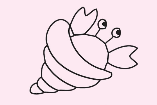 关于寄居蟹的简笔画