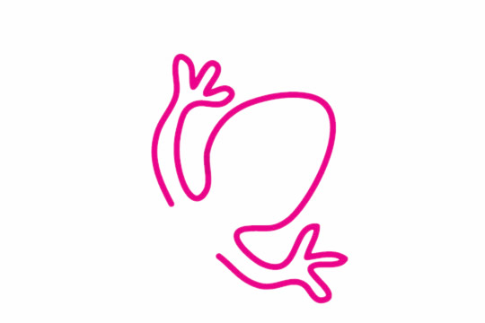 壁虎简笔画步骤教程