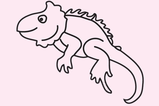 关于变色龙的简笔画