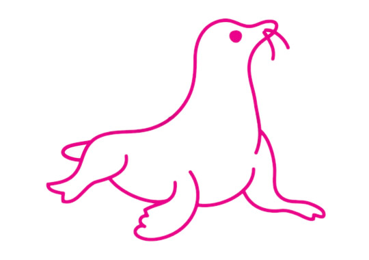 一步步教你画简单的海豹