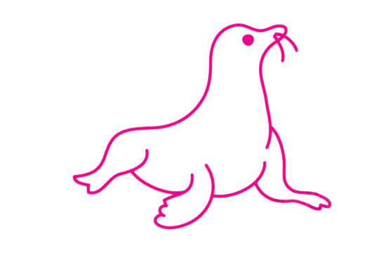 一步步教你画简单的海豹