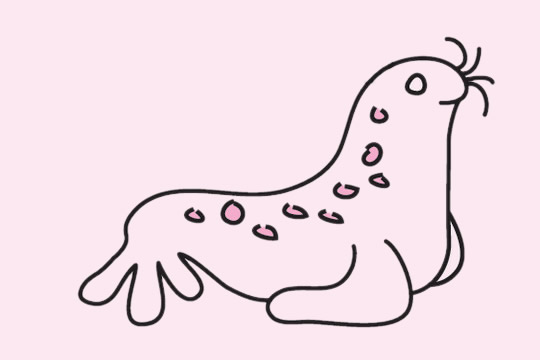 一组卡通的海豹简笔画大全