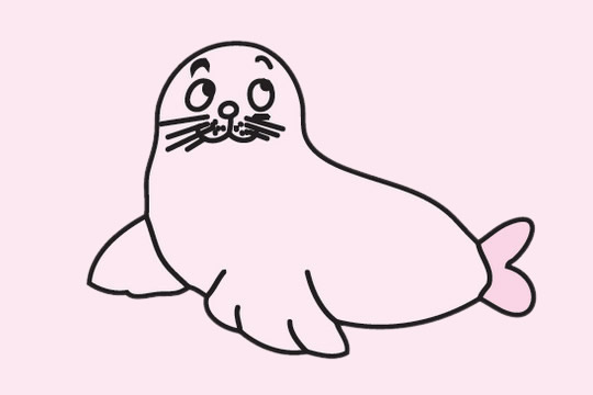 一组卡通的海豹简笔画大全
