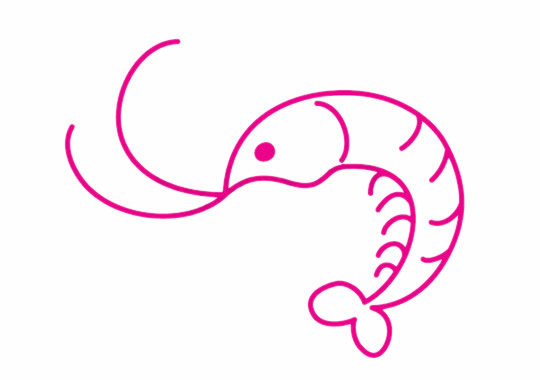 一步步教你画简单的小虾