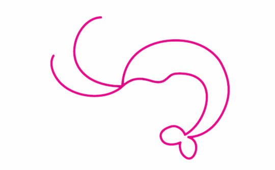 一步步教你画简单的小虾