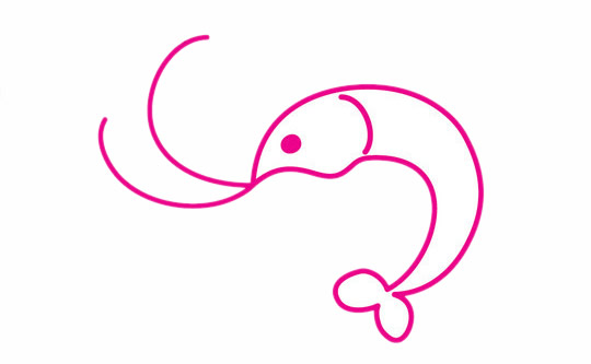 一步步教你画简单的小虾