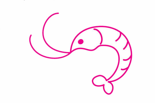 一步步教你画简单的小虾