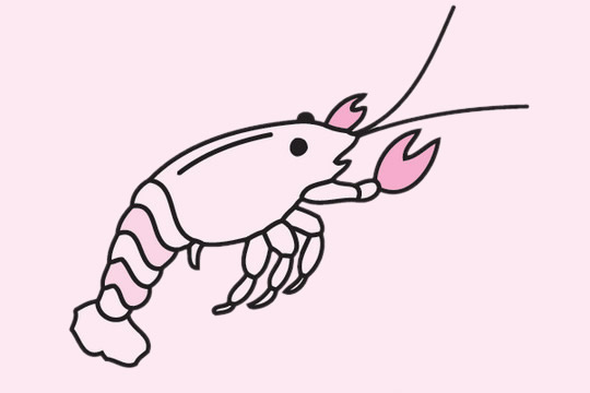 简单的虾子怎么画