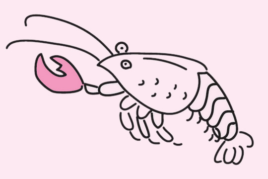 大虾儿童简笔画