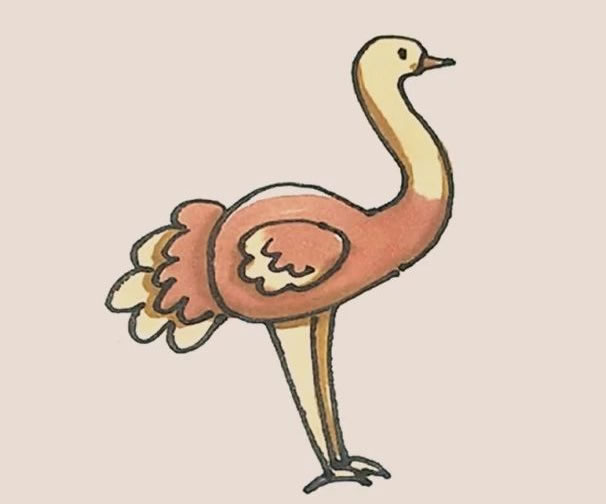 涂色的鸵鸟简笔画教程