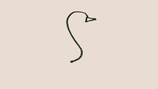 涂色的鸵鸟简笔画教程