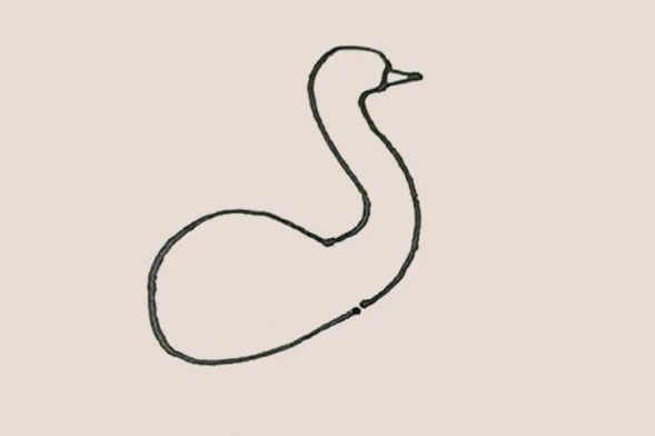 涂色的鸵鸟简笔画教程