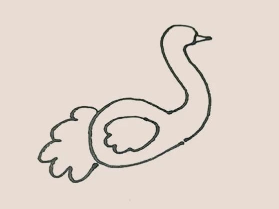 涂色的鸵鸟简笔画教程