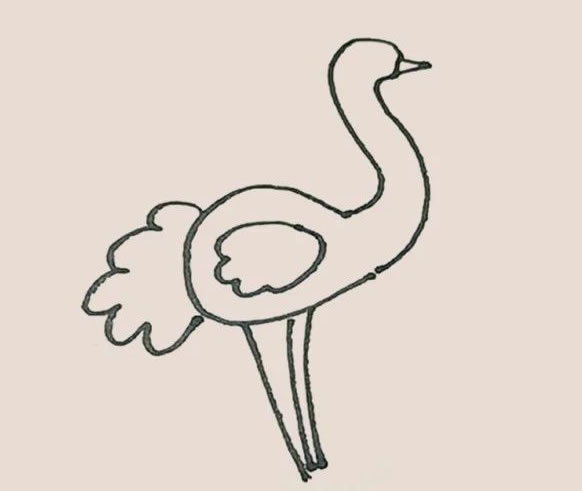 涂色的鸵鸟简笔画教程