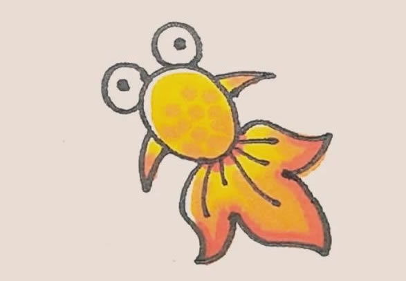 涂色的金鱼简笔画教程 涂色的金鱼简笔画教程