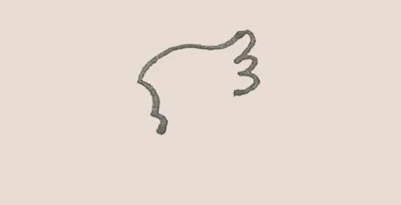 涂色的鹦鹉简笔画教程