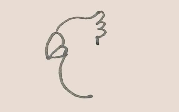 涂色的鹦鹉简笔画教程