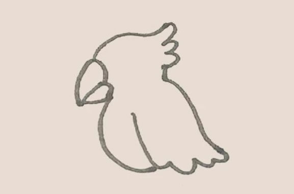 涂色的鹦鹉简笔画教程