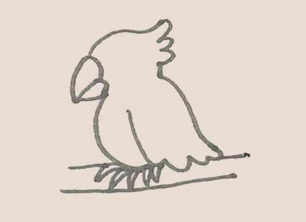 涂色的鹦鹉简笔画教程