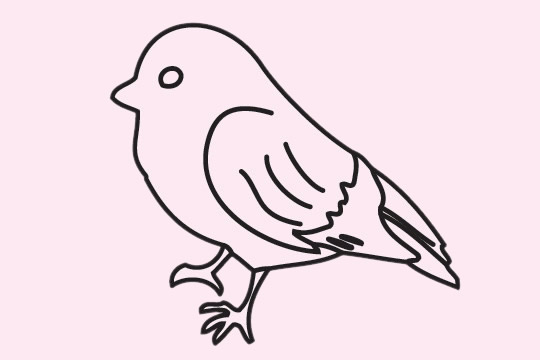 简单的麻雀怎么画