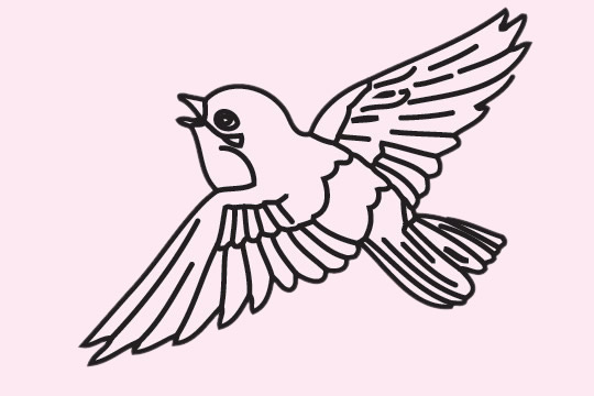 飞翔的麻雀简笔画