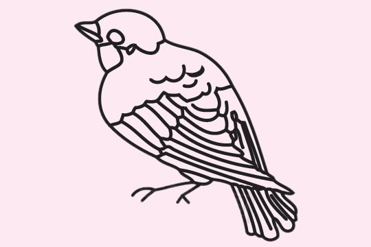 好看的麻雀怎么画