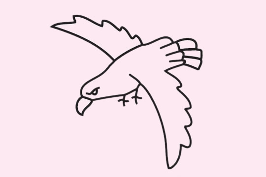飞翔的老鹰简笔画