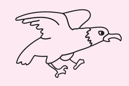 凶猛的老鹰怎么画