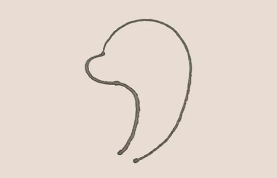 涂色的海豚简笔画教程