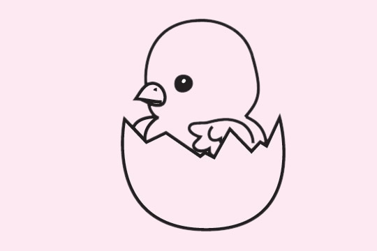 坐在蛋壳里的小鸡简笔画