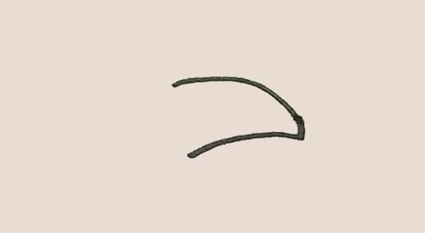 大嘴鸟简笔画步骤教程