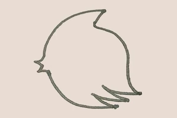 涂色的热带鱼简笔画教程