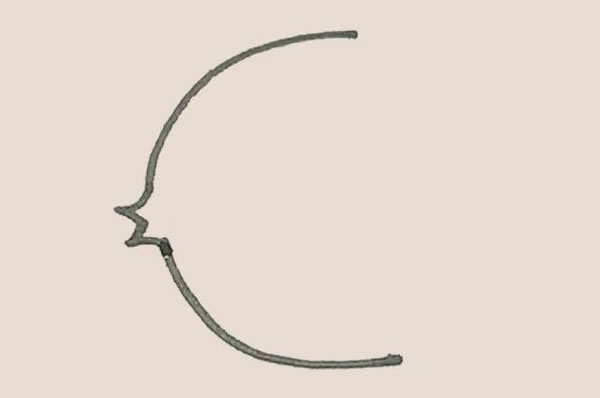 涂色的热带鱼简笔画教程