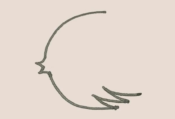 涂色的热带鱼简笔画教程