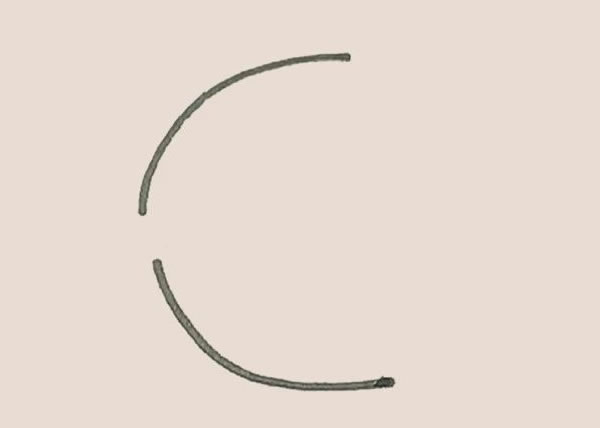 涂色的热带鱼简笔画教程