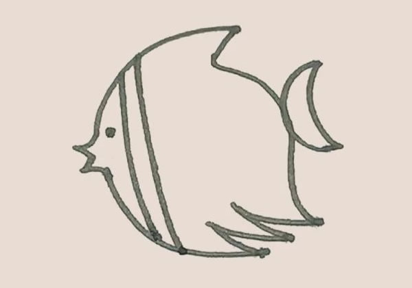 涂色的热带鱼简笔画教程