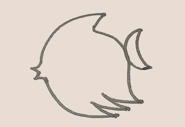 涂色的热带鱼简笔画教程