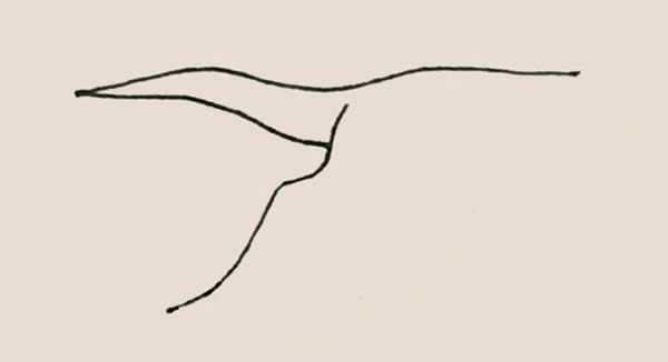 涂色的飞鹤简笔画教程