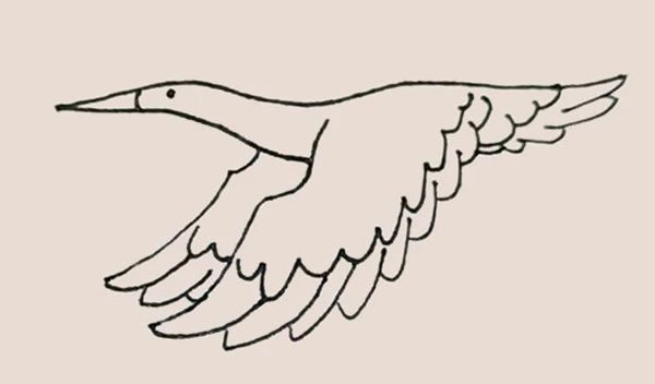 涂色的飞鹤简笔画教程