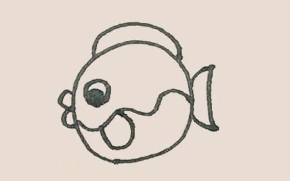 涂色的河豚简笔画教程